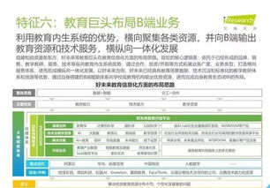 2019年中國(guó)教育信息化行業(yè)報(bào)告 信息技術(shù)咨詢服務(wù)分析